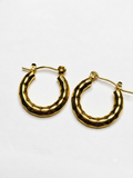 Starlight Hoops Earnings