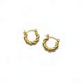 Everyday Hoops Earnings